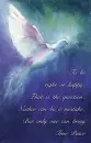 True Peace