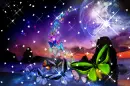 butterfly-