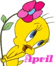 april--tweety