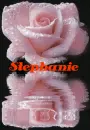 stephanie