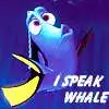 Dory