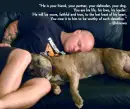 mans best friend