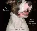 i was too busy playing