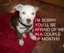 im sorry that you'll be afraid of me