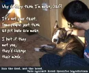 why do they think im mean, dad?