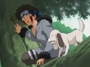 kiba and akamaru