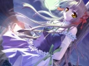 Midnight Flower
