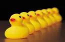 duckies