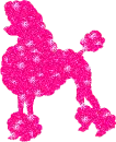 poodle