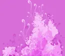 pink flowers