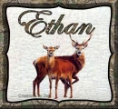 Ethan