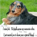 I miss you