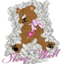 sleep well teddy
