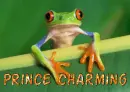 prince charming