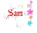 Hi Sam
