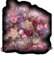Good Afternoon