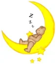 Bear Sleeping on Moon