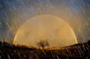 Moon Rain