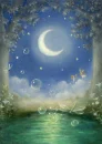 Fairy Moon