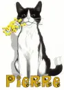 Pierre