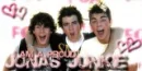 jonas brothers