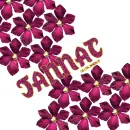 JANNAT
