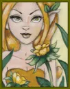 FAIRY--YELLOW
