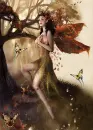 FAIRY