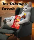 CAT-TAKING BREAK