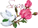 Dove - Susan