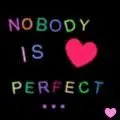 nobody is perfect