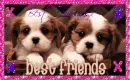 Best Friends