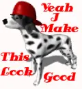DOG--ANIMATED
