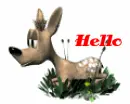 HELLO