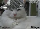 pimp
