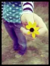 yellow flower