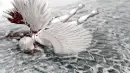 Fallen down