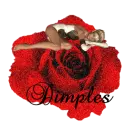 Dimples