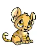 Kougra