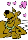 All about  scooby doo 
