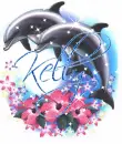 Kelly Dolphins