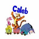 Tigger, Piglet & Eeyore on Train- Caleb