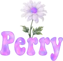 Purple Flower Perry