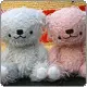 CUDDLE BEARS