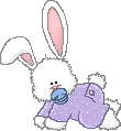 Baby Bunny