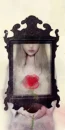 RED ROSE