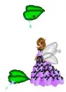 fairy