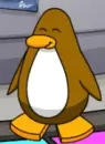 Club Penguin Exercise