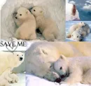 SAVE ME