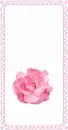 PINK ROSE